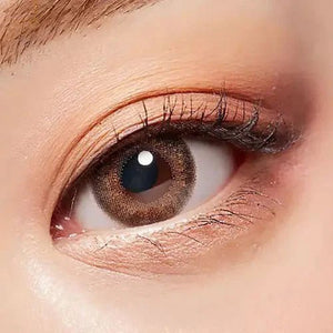 LensTown 247 Diary Brown (10p) - Idol Karakon