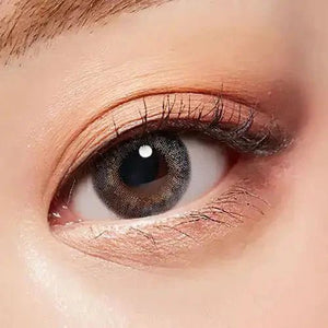 LensTown 247 Diary Gray (10p) - Idol Karakon