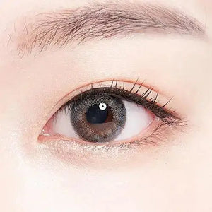 LensTown 247 Diary Gray (10p) - Idol Karakon