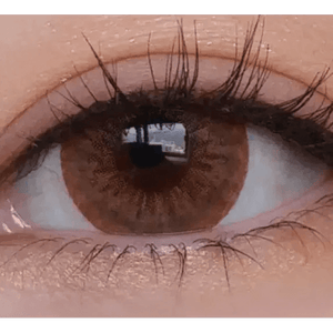 LensTown 247 Fit Brown (10p) - Idol Karakon