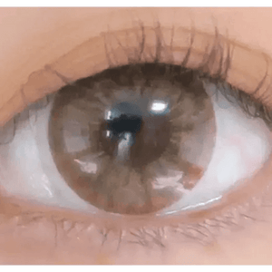 LensTown 247 Fit Brown (10p) - Idol Karakon