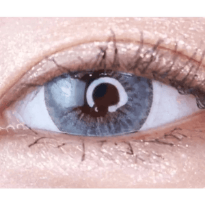 LensTown 247 Fit Gray (10p) - Idol Karakon