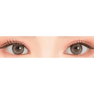 LensRang Sharing Brown - Idol Karakon