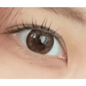 LensRang ウィズラン チョコ - Idol Karakon