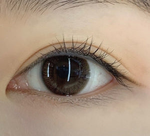 アンナ モダン ブラウン Anna Modern Brown - Idol Karakon