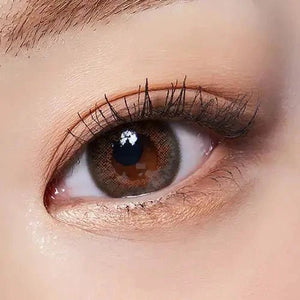 LensTown Back to Basic Avenue Brown - Idol Karakon