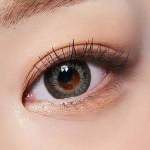 LensTown Back to Basic Avenue Deep Gray - Idol Karakon