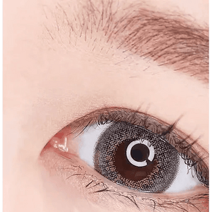 LensTown Back to Basic Avenue Gray - Idol Karakon