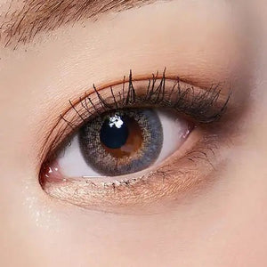 LensTown Back to Basic Avenue Gray - Idol Karakon