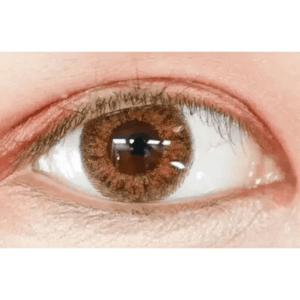 LensTown Back to Basic July Brown - Idol Karakon