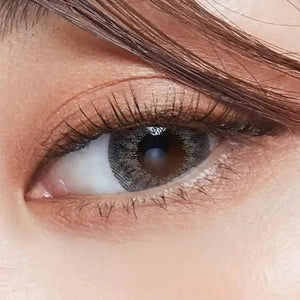 LensTown Back to Basic July Gray - Idol Karakon