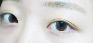 ラシェル クリスタルブラウン 6枚入 — LACELLE Crystal Brown (6p) - Idol Karakon