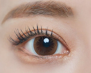 ラシェル クリスタルブラウン 6枚入 — LACELLE Crystal Brown (6p) - Idol Karakon