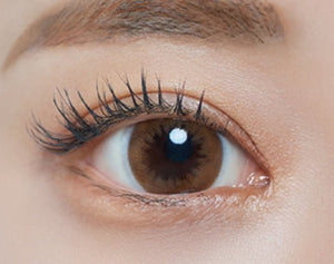 ラシェル メロウブラウン 6枚入 — LACELLE Mellow Brown (6p) - Idol Karakon