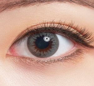 ラシェル ミスティックグレー 6枚入 — LACELLE Mystic Gray (6p) - Idol Karakon