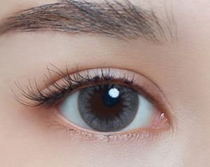 ラシェル ミスティックグレー 6枚入 — LACELLE Mystic Gray (6p) - Idol Karakon