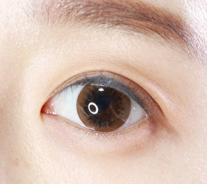 ラシェル トゥインクルブラウン 6枚入 — LACELLE Twinkle Brown (6p) - Idol Karakon