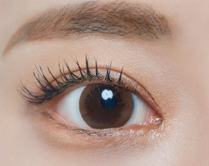 ラシェル トゥインクルブラウン 6枚入 — LACELLE Twinkle Brown (6p) - Idol Karakon