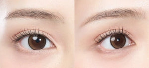 ラシェル オーロラブラック 30枚入 — LACELLE Aurora Black (30p) - Idol Karakon