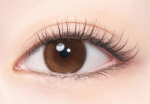 ラシェル オーロラブラウン (30枚入・ワンデー) — LACELLE Aurora Brown 1Day (30p) - Idol Karakon