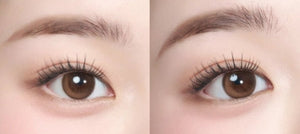 ラシェル オーロラブラウン (30枚入・ワンデー) — LACELLE Aurora Brown 1Day (30p) - Idol Karakon