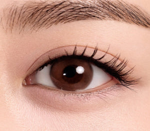 ラシェル スポットライトブラウン 30枚入 — LACELLE Spot Light Brown (30p) - Idol Karakon