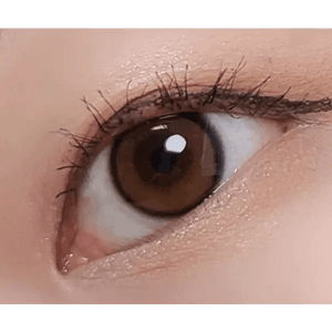 LensTown Beloved Royal Brown - Idol Karakon