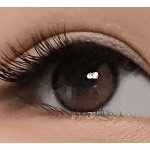 LensTown Beloved Royal Brown - Idol Karakon