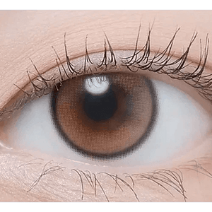 LensTown Beloved Royal Brown - Idol Karakon