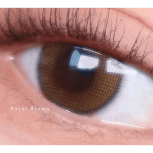 ビラブド ロイヤルブラウン — Beloved Royal Brown - Idol Karakon