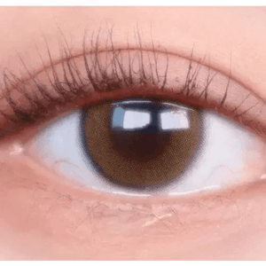 LensTown Beloved Royal Brown - Idol Karakon