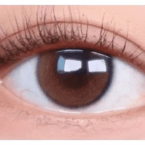 LensTown Beloved Water Brown - Idol Karakon