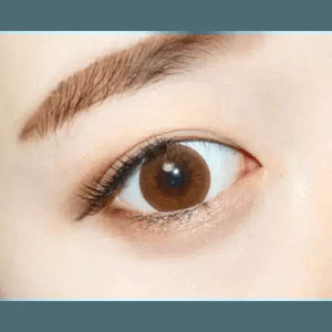 Olens Bigsome Brown - Idol Karakon