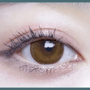 ビッグサム ブラウン Bigsome Brown - Idol Karakon