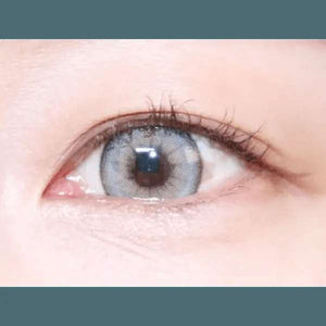 LensVery Buttercup 1Day Gray (10p) - Idol Karakon