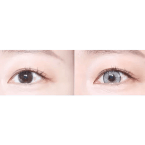 LensVery Buttercup 1Day Gray (10p) - Idol Karakon