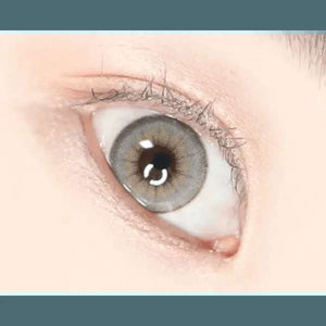 LensVery Buttercup 1Day Gray (10p) - Idol Karakon