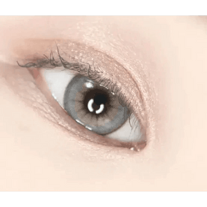 LensVery Buttercup 1Day Gray (10p) - Idol Karakon