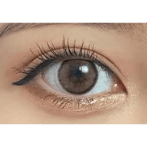 i - DOL Canna Roze Beige Brown 10枚入 - Idol Karakon