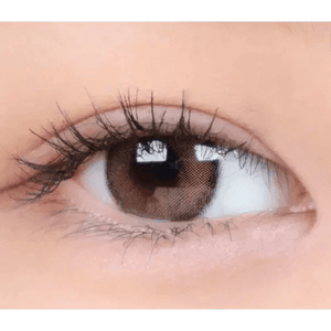 i - DOL Canna Roze Beige Brown 10枚入 - Idol Karakon