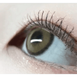 i - DOL Canna Roze Beige Brown 1枚入 - Idol Karakon