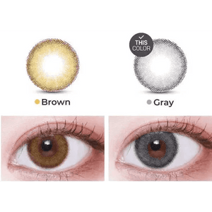 LensVery Celina Gray (10p) - Idol Karakon