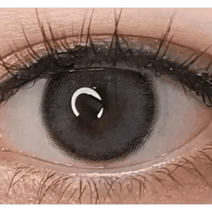 LensVery Celina Gray (10p) - Idol Karakon