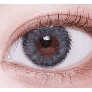 LensVery Celina Gray (10p) - Idol Karakon