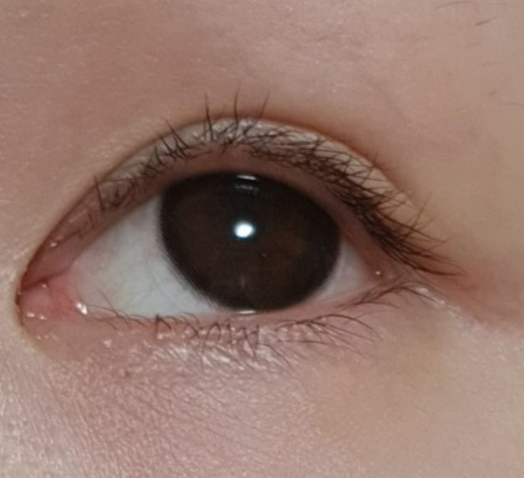 Chagall Black Toric - Idol Karakon