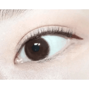 LensTown Choco Pong Dark Choco - Idol Karakon