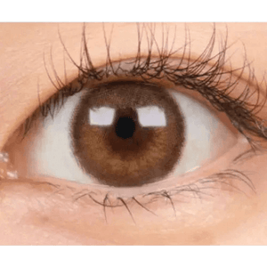 LensTown Choco Pong Edge Milk Choco - Idol Karakon