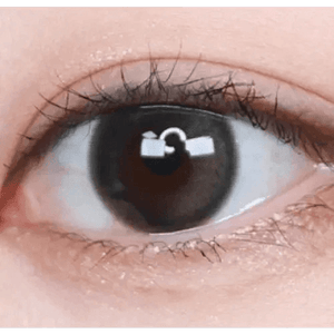 LensTown Coconut 3color Tender Brown - Idol Karakon