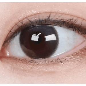 LensTown Coconut 3color Wild Burgundy - Idol Karakon