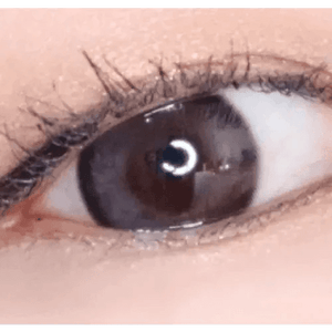 LensTown Coconut 3color Wild Burgundy - Idol Karakon